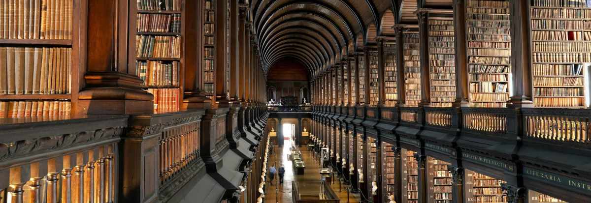 Huge library hallway filled with books